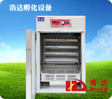 浩达352枚小型孵化机