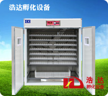 浩达1232枚小型孵化机
