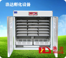 浩达1584枚中型孵化机