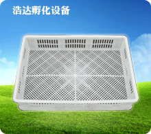 出雏框